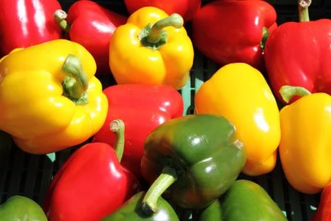 Fresh peppers Stock Photos