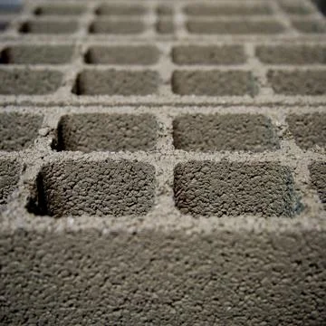 Fresh perpends aligned drying on the ground Stock-Fotos