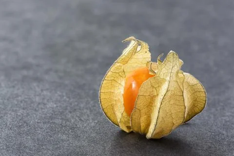 Fresh physalis Stock Photos