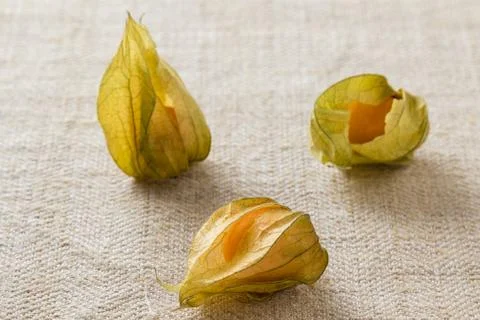 Fresh physalis on table Stock Photos