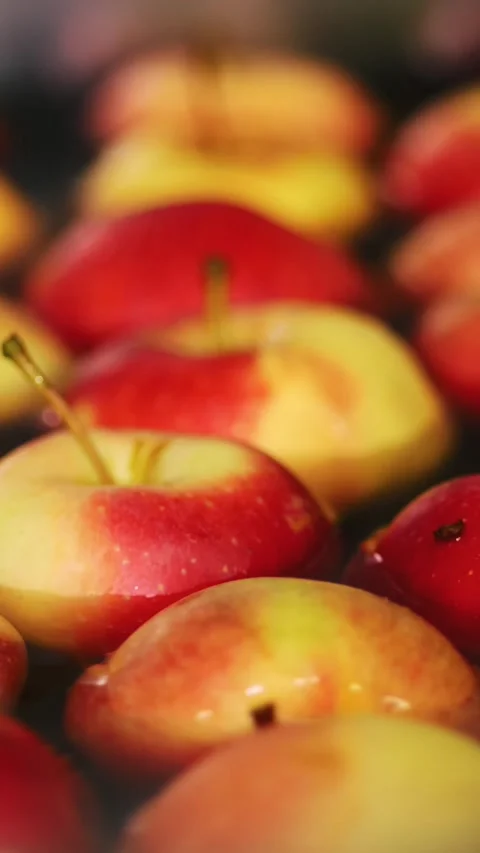 Fresh picked apple harvest. The process of washing apples in a fruit production Stock Footage 309096035