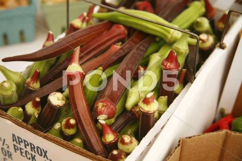 Fresh Picked Organic Red and Green Okra at a Farmers Market Stock Photos