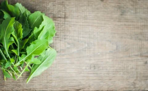Fresh picked rucola Stock Photos