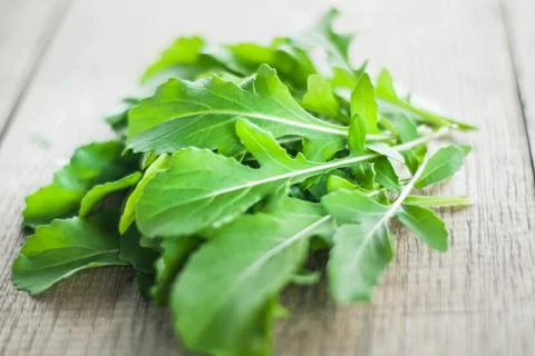 Fresh picked rucola Stock Photos