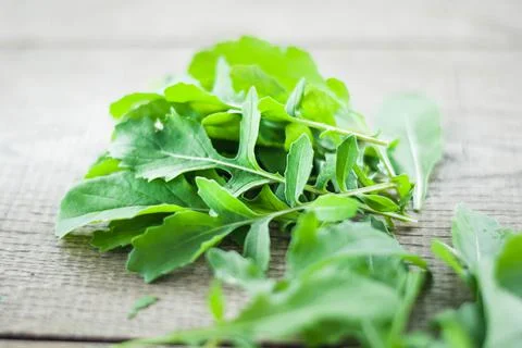 Fresh picked rucola Stock-Fotos