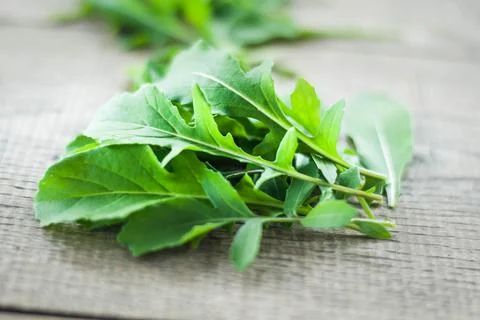 Fresh picked rucola Foto stock