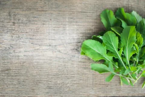 Fresh picked rucola Stock-Fotos