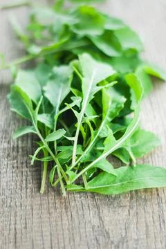 Fresh picked rucola Stock Photos