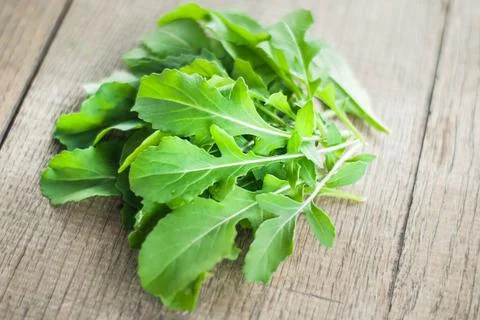 Fresh picked rucola Stock Photos