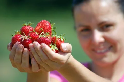 Fresh picked strawberries Stock Photos