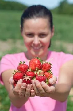 Fresh picked strawberries Stock Photos