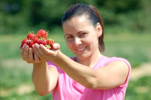 Fresh picked strawberries Stock Photos