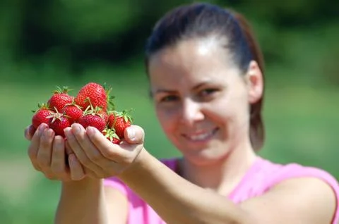 Fresh picked strawberries Stock Photos