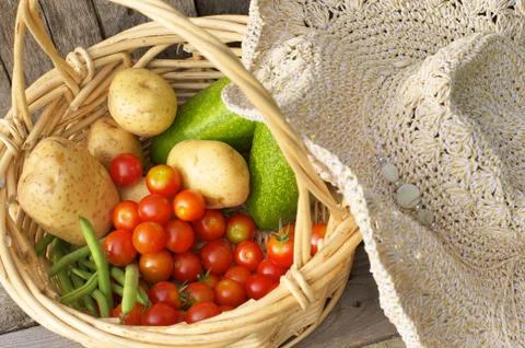 Fresh picked vegetables. Stock-Fotos