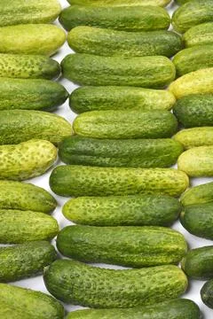Fresh pickling cucumbers Stock Photos