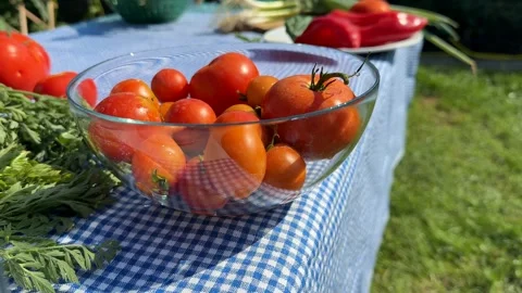 Fresh Picnic Vegetables Stock Footage 313364301