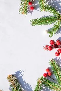 Fresh pine branches and vibrant red berries create a festive arrangement on a Stock Photos