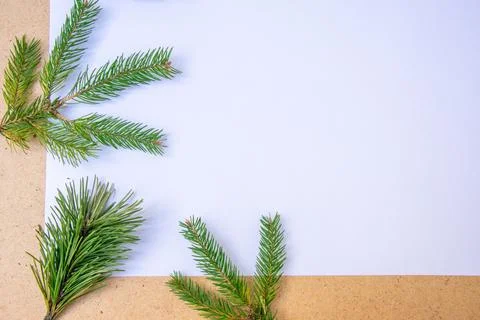 Fresh pine branches are artfully arranged around a blank sheet of paper, crea Stock Photos