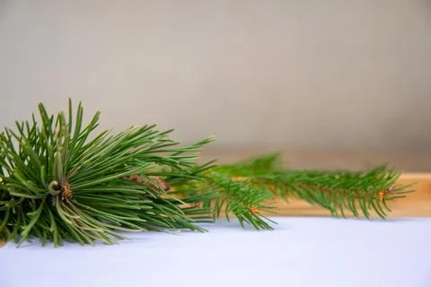 Fresh pine branches arranged on a light surface, showcasing their vibrant g.. Stock Photos