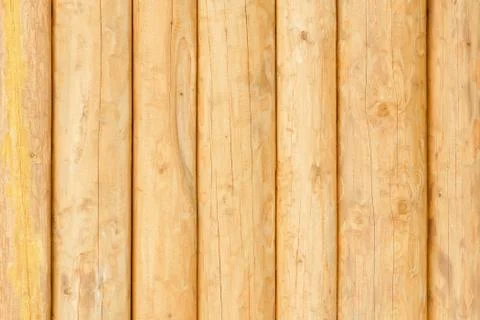 Fresh pine logs. Close-up Stock Photos