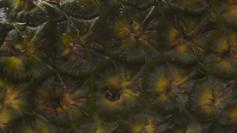 Fresh pineaple Stock Footage 98298312