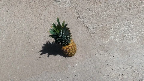 Fresh pineapple on the beach. Fruit in the sea waves. Leisure in summer Stock Footage 134839223