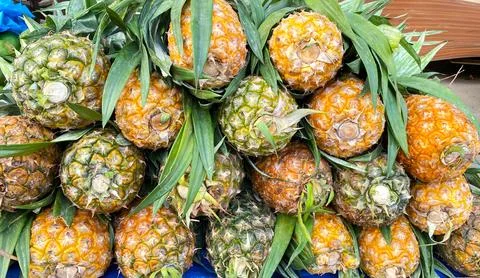 Fresh pineapple, Fresh pineapples background Stock Photos