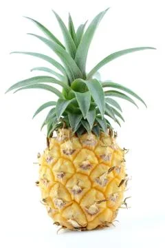 Fresh pineapple fruit isolated on a white background closeup 스톡 사진