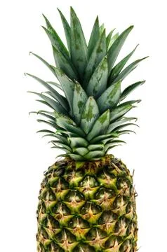 Fresh pineapple fruit Stock Photos