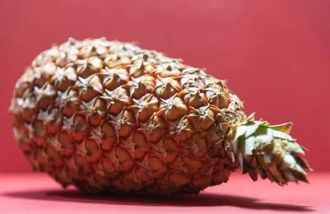 Fresh pineapple fruit on red background Stock Photos