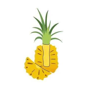 Fresh pineapple fruit sliced vector illustration isolated on white Stock Illustration