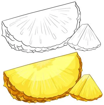Fresh Pineapple Fruit Slices Vector Illustration with Line Art Version Stock Illustration