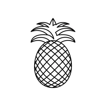Fresh pineapple fruit vector icon outline. EPS 10. Tropical fruits illustration Stock-Illustration