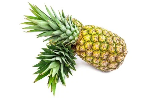 Fresh pineapple fruit on a white background. Stock Photos
