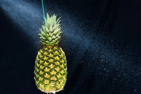 Fresh pineapple gets sprayed with water on black background. Concept of summe Stock Photos