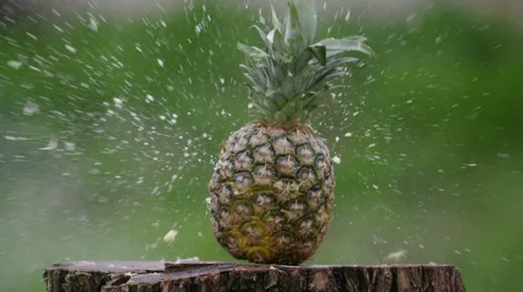 Fresh pineapple gun shot in native slow motion scene on green background Video stock 64019760