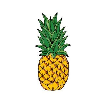 Fresh pineapple Stock Illustration