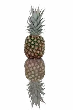Fresh pineapple isolated,with reflection on table Stock Photos