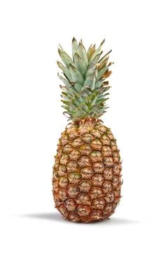 Fresh pineapple isolated on white background, vertical composition Stock Photos