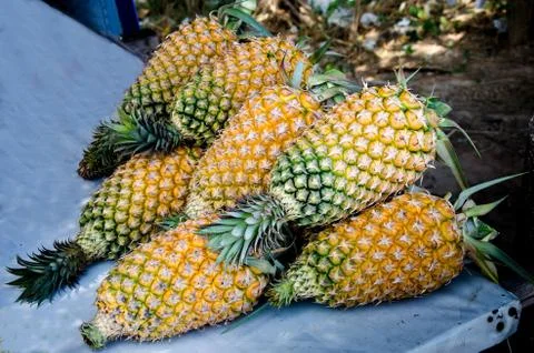 The fresh pineapple Stock Photos
