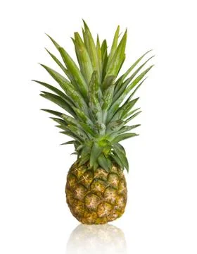 Fresh pineapple Stock Photos
