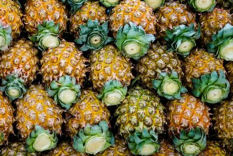The fresh pineapple Stock Photos
