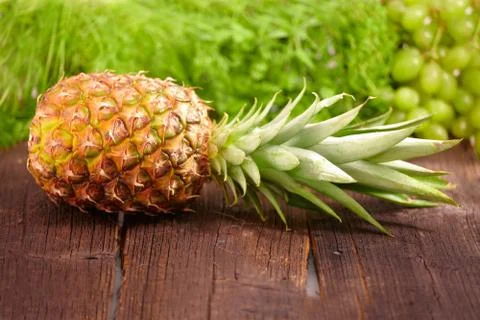 Fresh pineapple Stock Photos