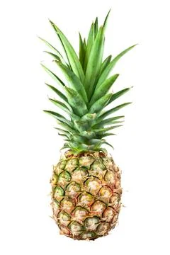 Fresh pineapple Stock Photos