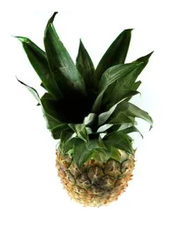 Fresh pineapple Stock Photos