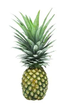 Fresh pineapple Stock Photos