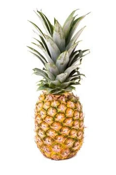 Fresh Pineapple Stock Photos