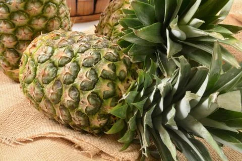 Fresh pineapple Stock Photos