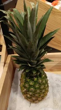 Fresh pineapple Stock Photos