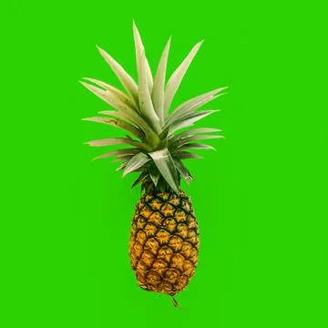 Fresh pineapple Stock Photos
